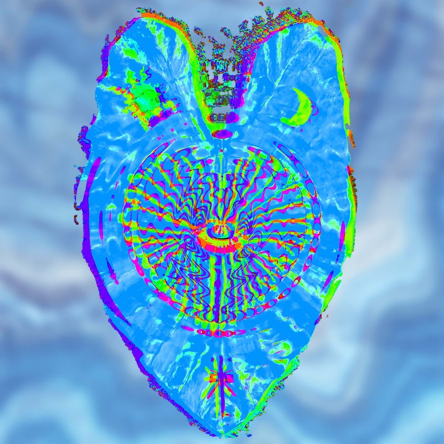 A colorful digital rendering of a leaf.