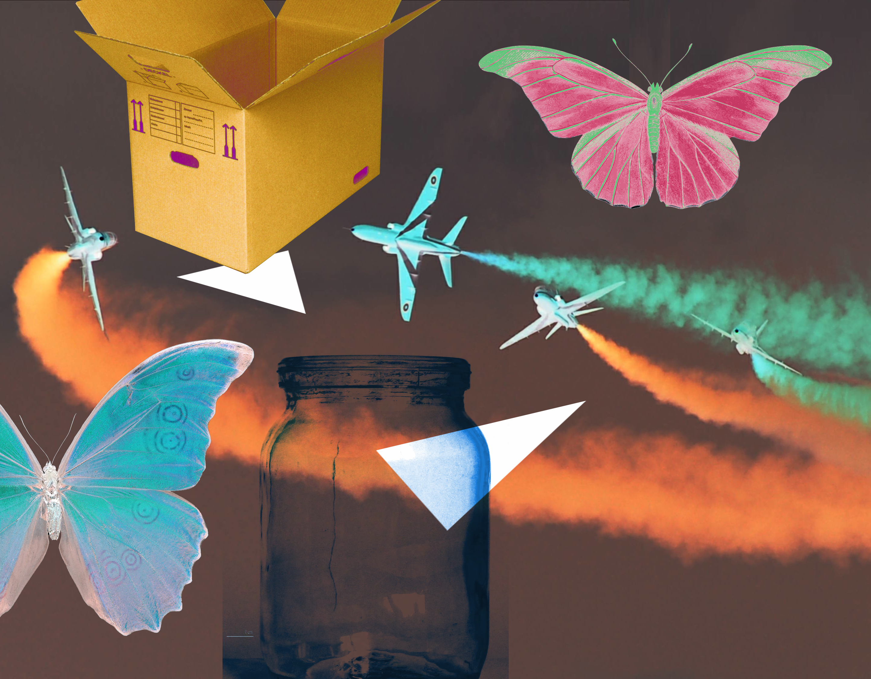 Butterflies, a box, planes, and a jar