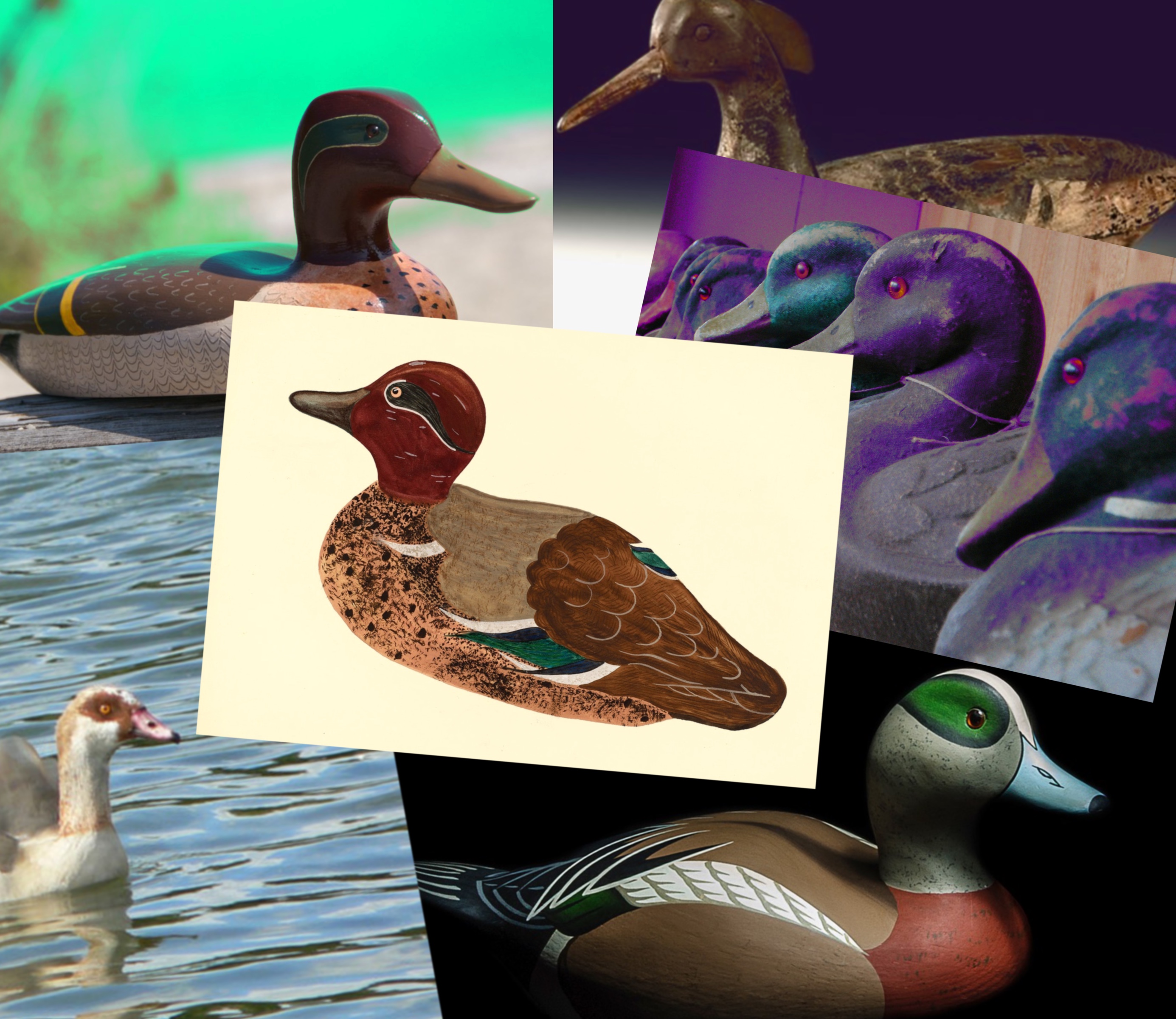 Picture of decoy ducks
