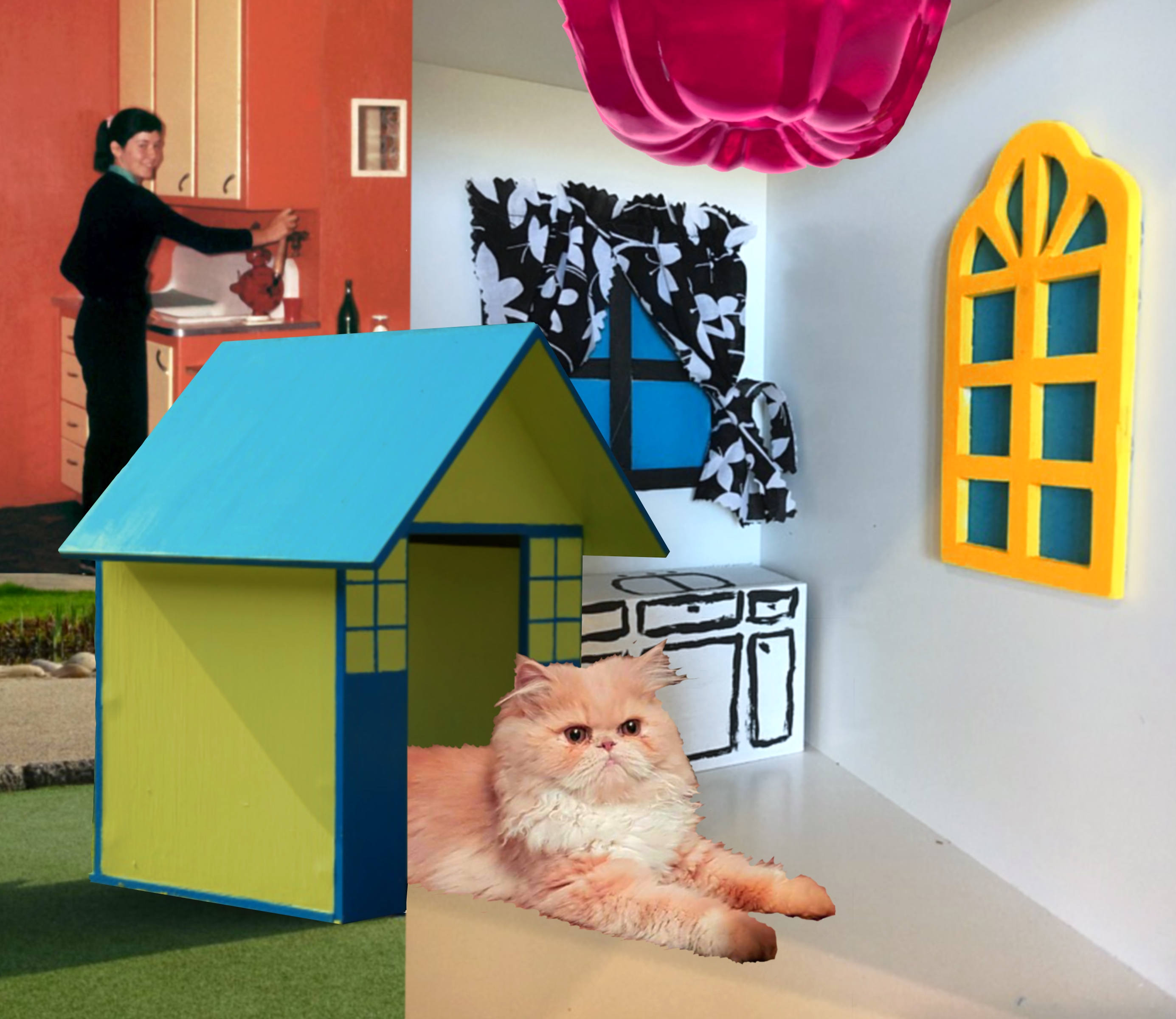 a cat in a cat house inside another house