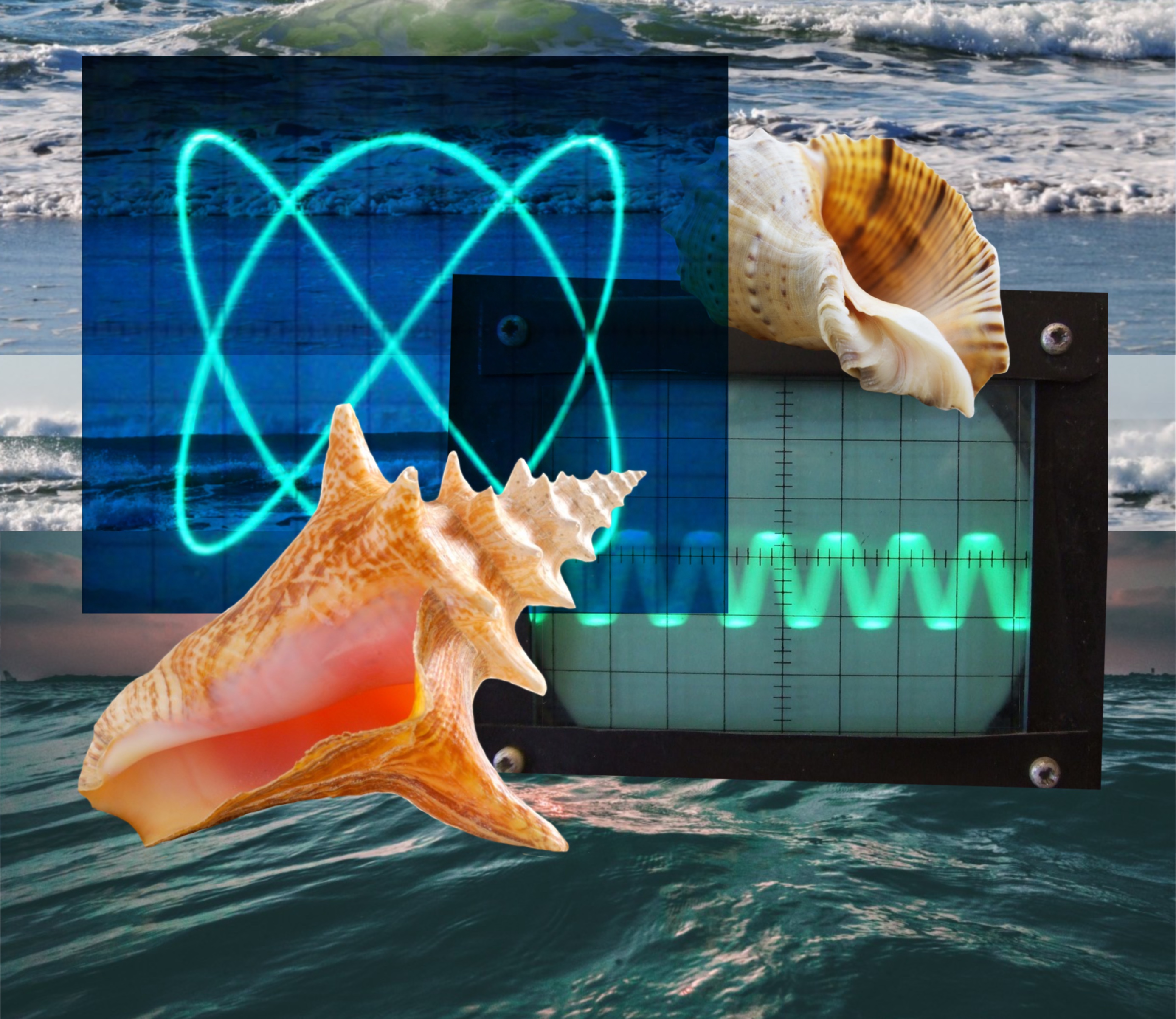 Picture of seashells and soundwaves