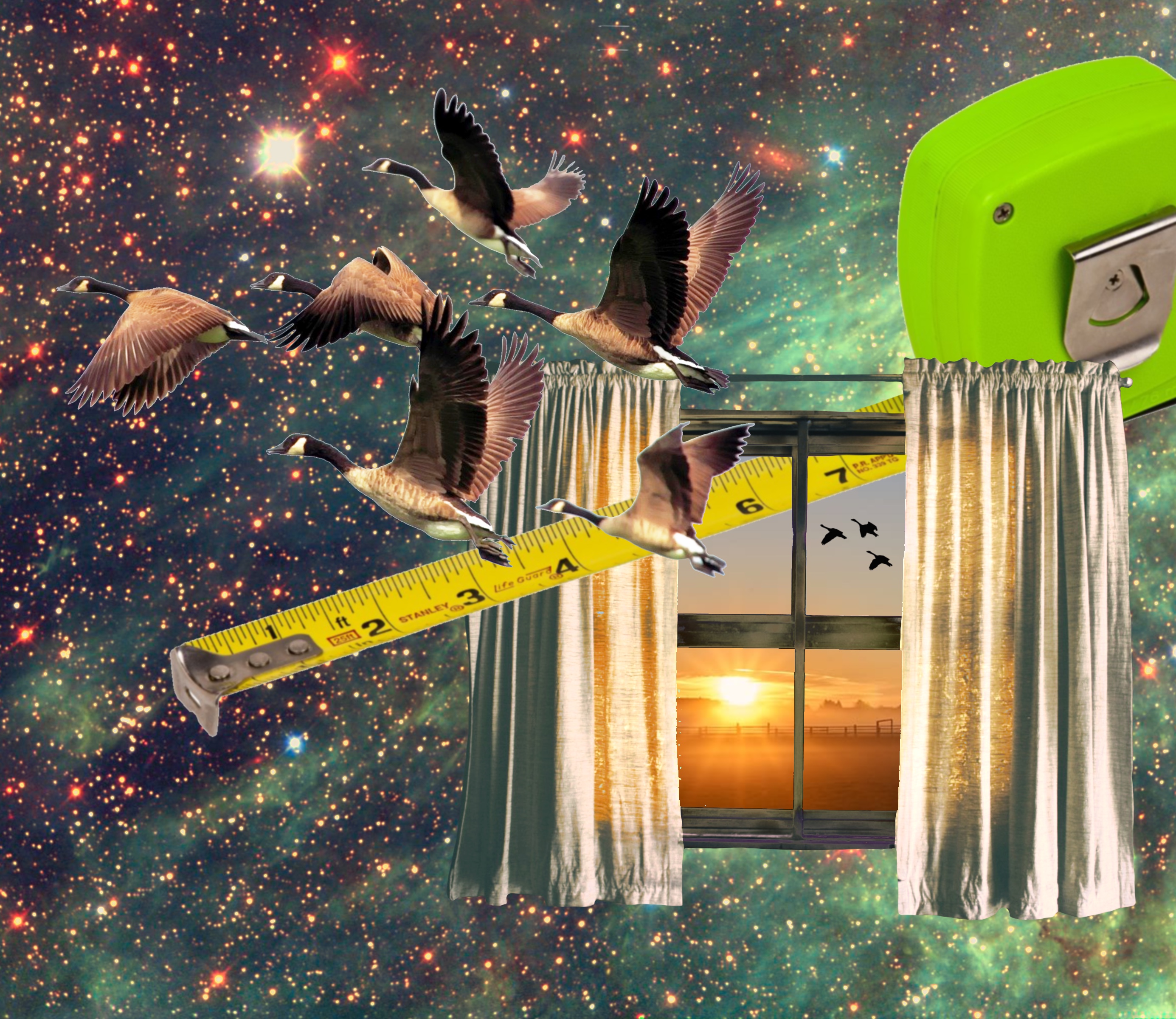 a window with birds, space, and a measuring tape