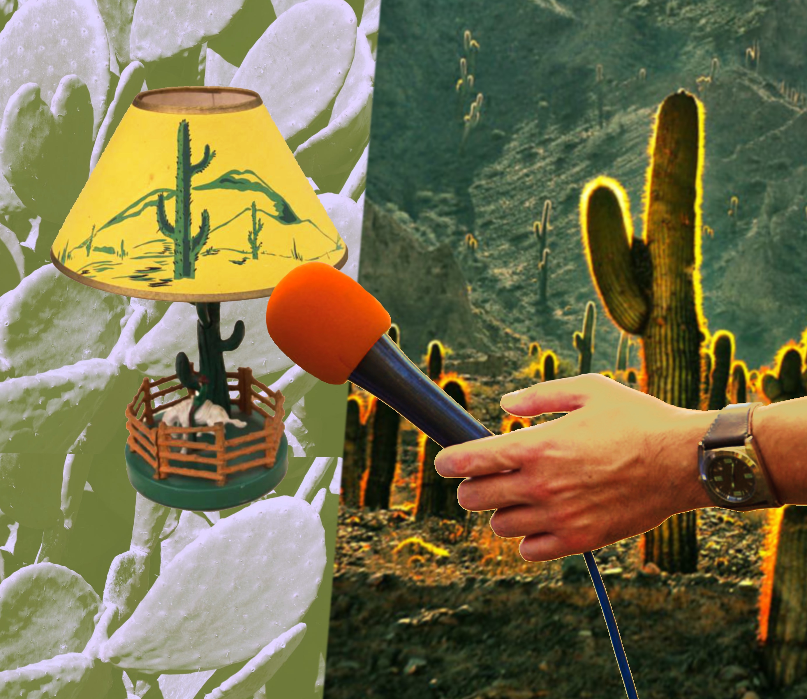 a lamp is interviewed