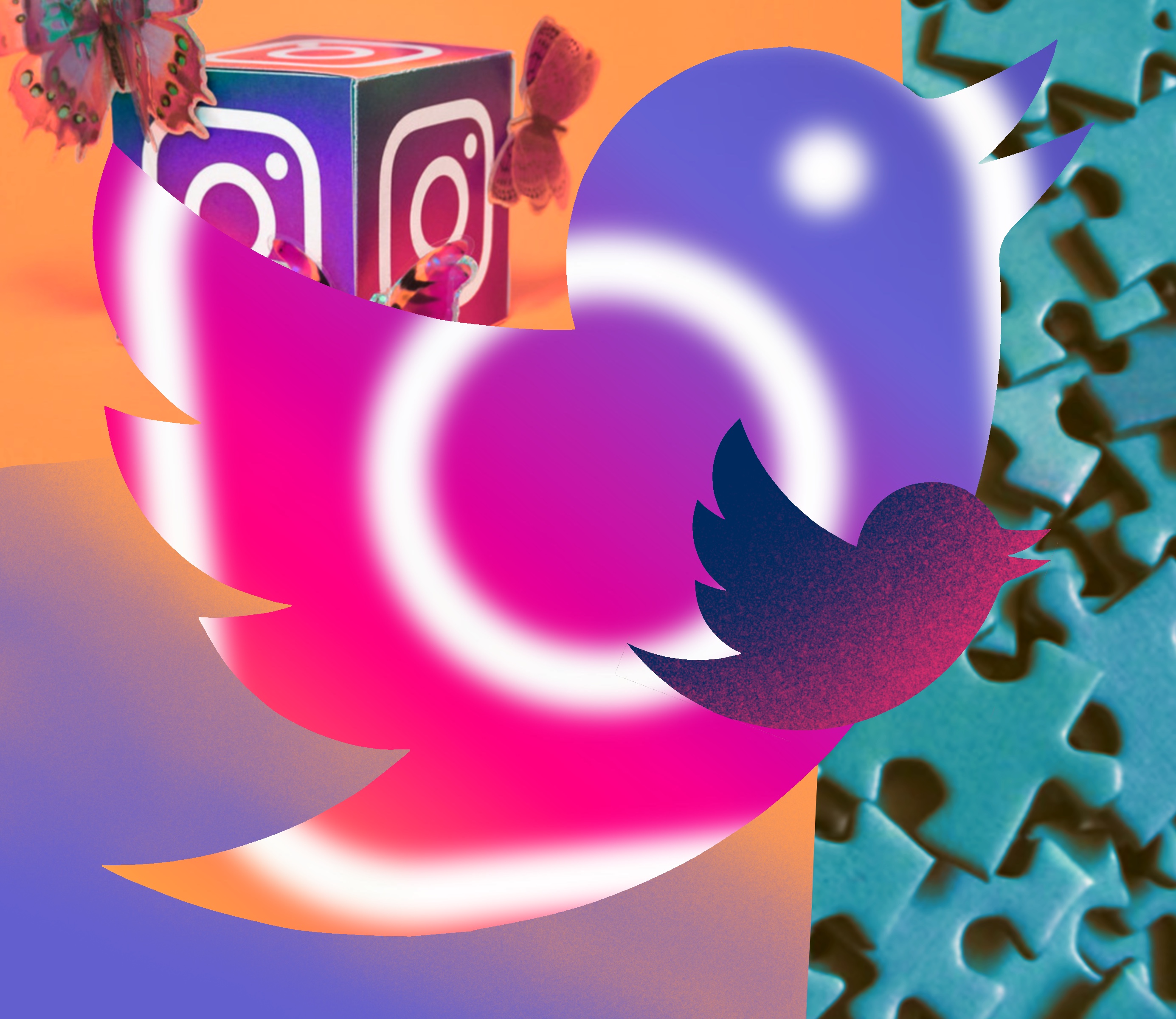 twitter bird and Instagram logo