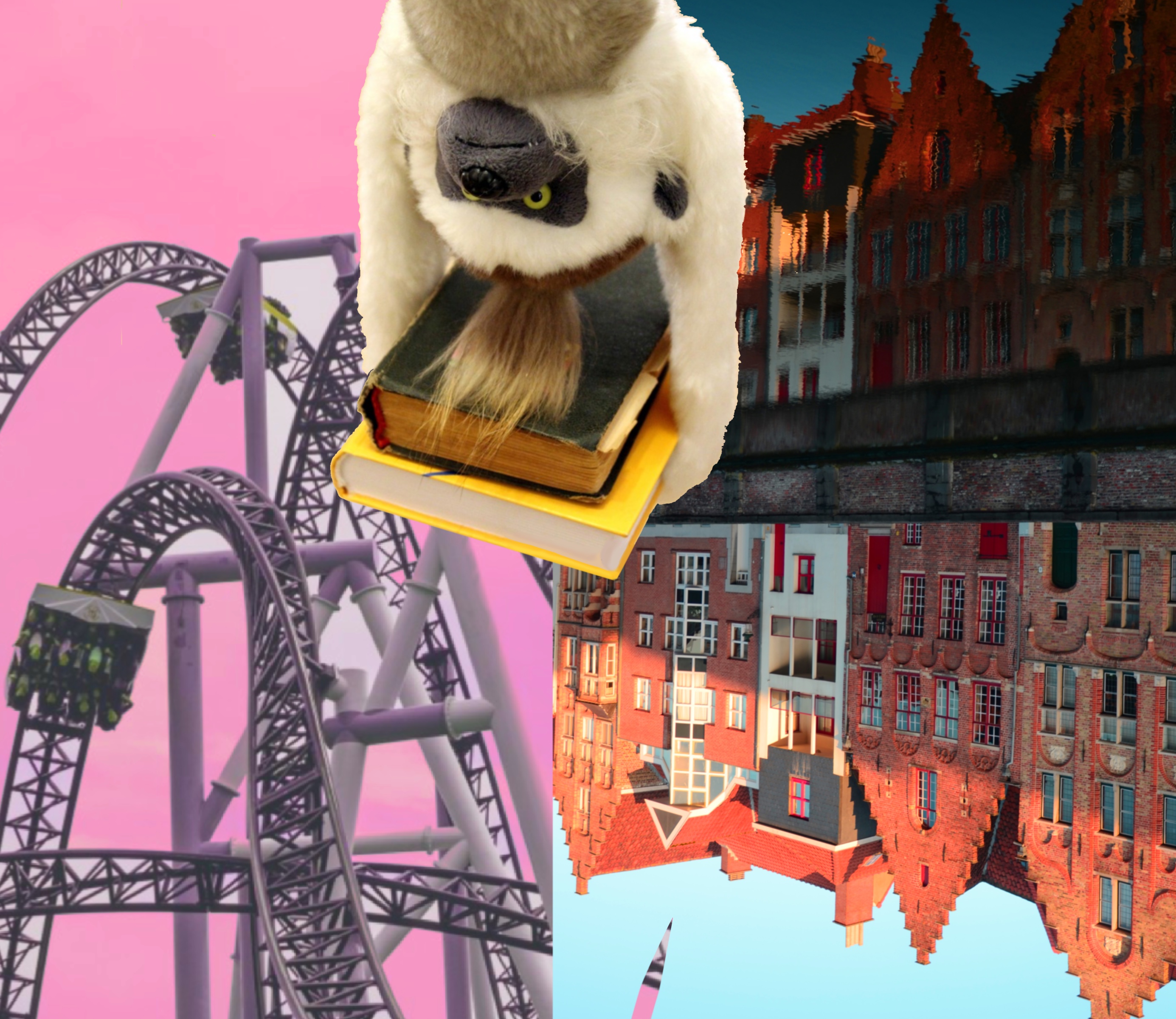 Picture of upside down houses and a lemur hanging upside down