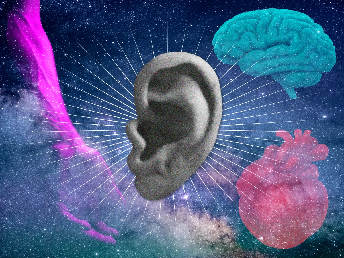 Oreille, cerveau, coeur, main