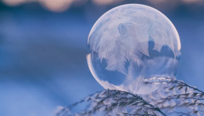 What kind of Winter are you? 