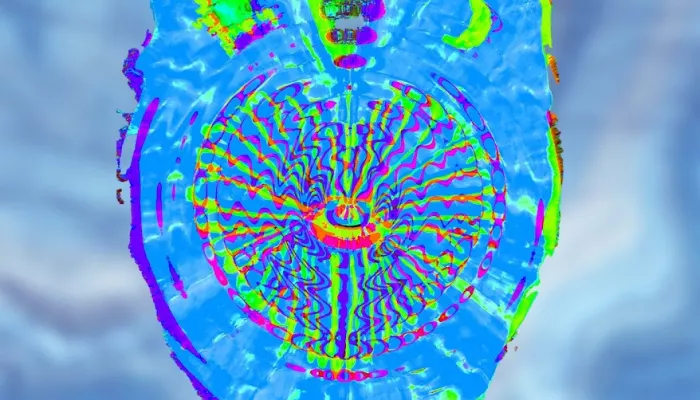 A colorful digital rendering of a leaf.