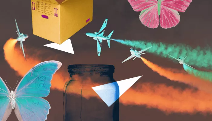 Butterflies, a box, planes, and a jar