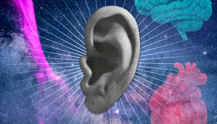 Oreille, cerveau, coeur, main