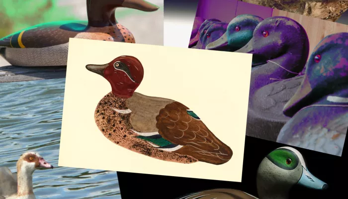 Picture of decoy ducks
