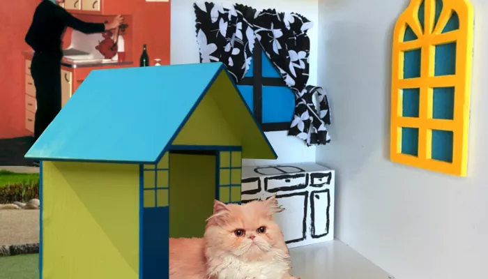 a cat in a cat house inside another house