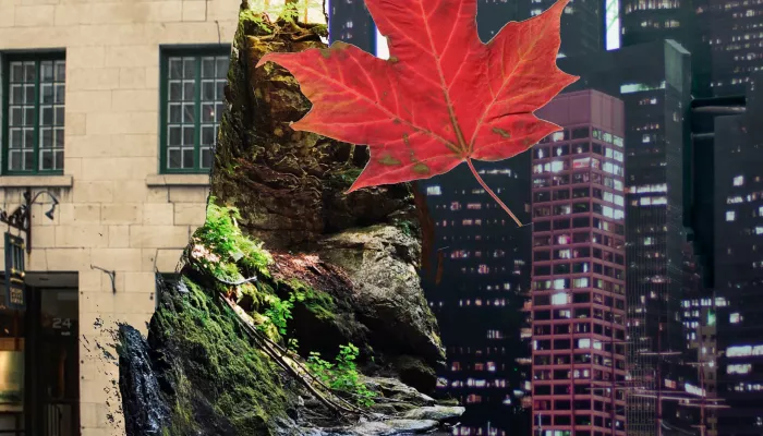 A red maple leaf superimposed over an urban landscape