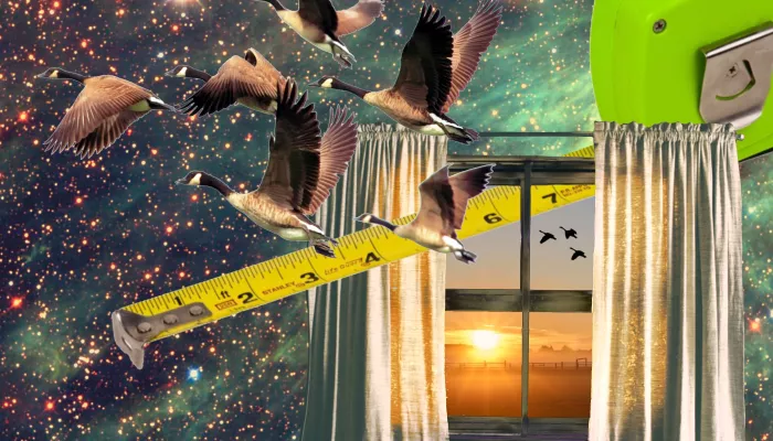 a window with birds, space, and a measuring tape