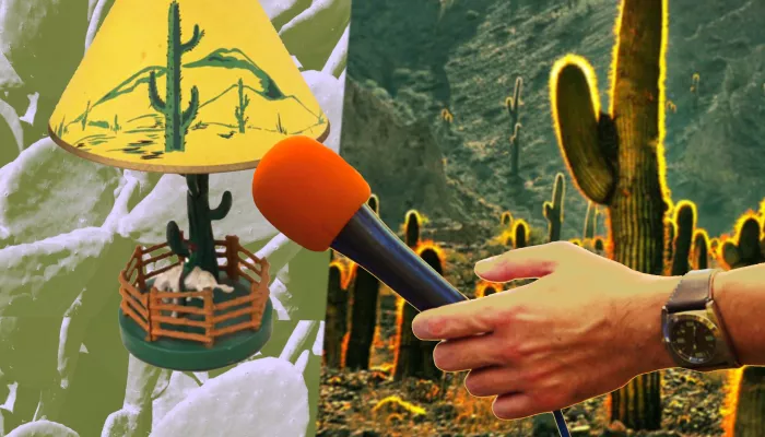 a lamp is interviewed