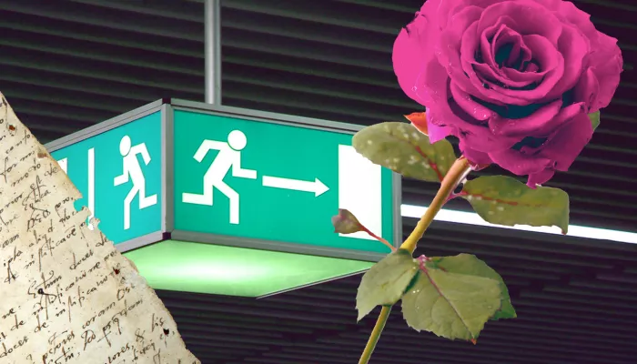 a recipe, a rose, and an exit sign